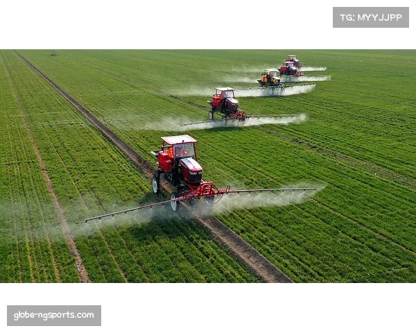 土超俱乐部基础设施升级，训练基地达欧洲一流标准